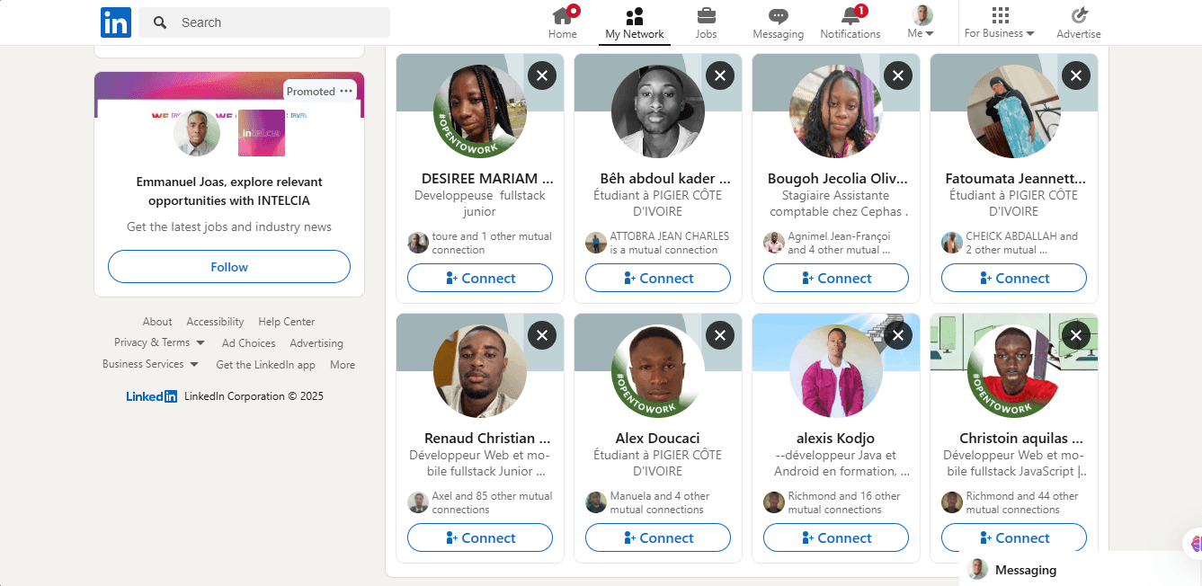Linkedin Auceps Digital 