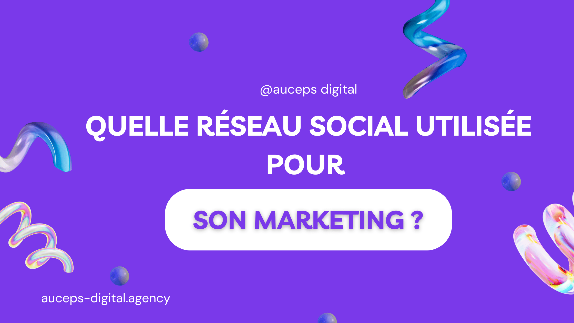 Auceps Digital - Marketing Digital -Quelle réseau social utilisée pour son marketing